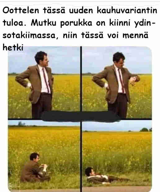Anttipantti-variantti.jpg
