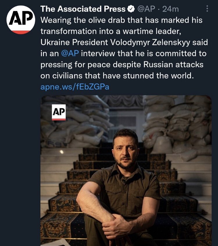 zele_ap.jpeg