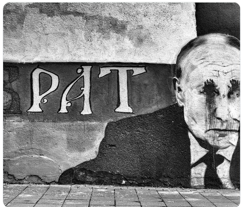 veri.jpg