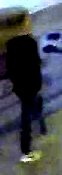 nike_skeittikengat.png