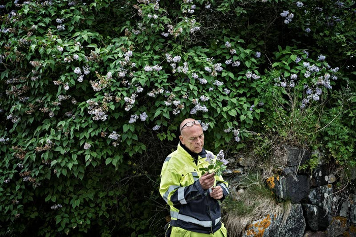 Vaimonsa taposta Suomenlinnan avovankilassa tuomiota istuva Veli-Matti Lehikoinen opiskelee puutarhuriksi ja käy luennoimassa järjestöissä omaa tarinaansa. –Elämä pitää rakentaa joka päivä uudestaan, että on syy jatkaa. Kuva Johanna Erjonsalo.