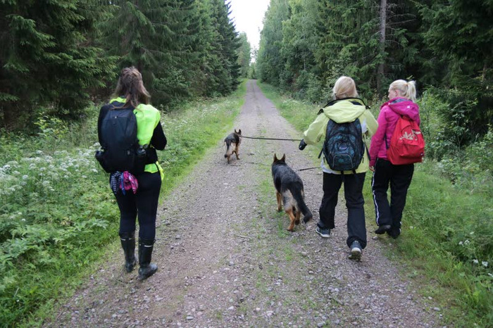 Sanna Jensén, Sari Virtanen ja Janita Myllynen sekä Mosse ja Memo vaeltavat kohti osoitetun etsintäsektorin rajaa.
