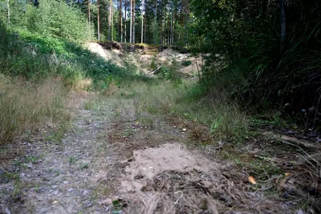 Erikoiset jäljet maassa. Kuva Jussi Helttunen.