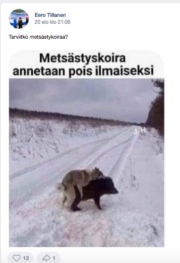 VKK_Eero_Tillasen_sikakoirafantasia.jpg