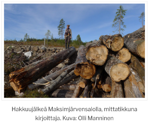 Puunrungoista näkee etteivät kaadetut tukit ole istutetun metsän puita. Sääli jos ikivanhoista puista tehdään surkealaatuista bulkkirojua.jpg