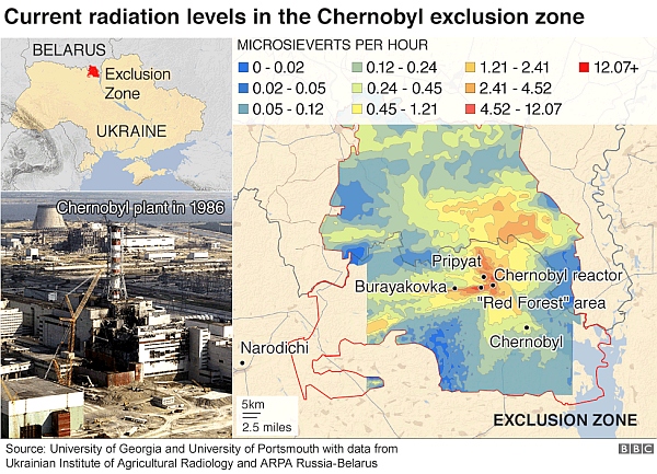 https://www.bbc.com/news/science-environment-47227767