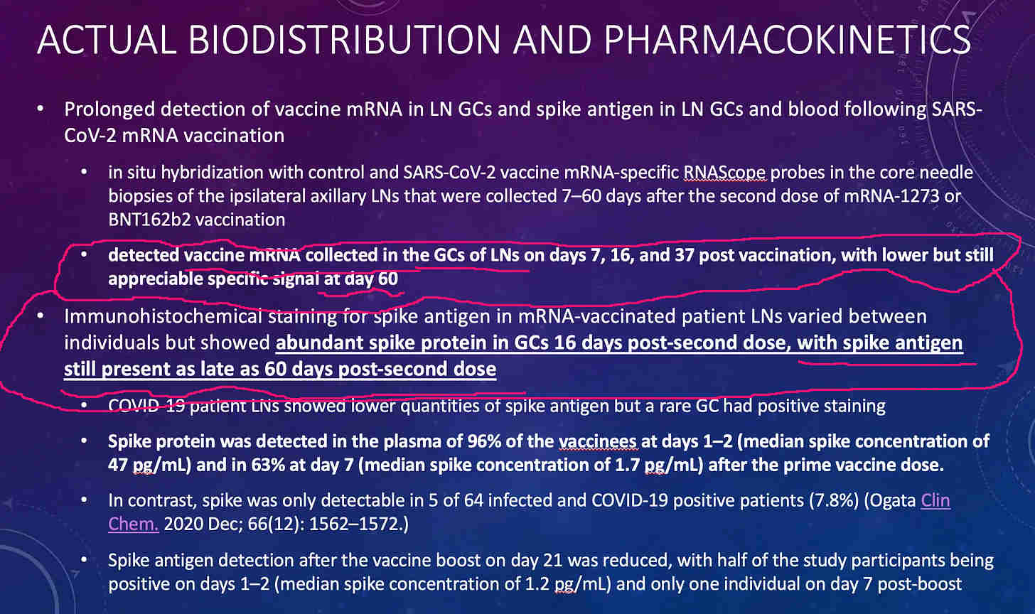 mRNA sailyy stabiilina vahintaan 60 vrk, Rontgen et al..jpg