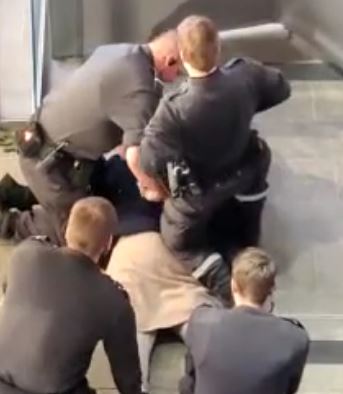 alokas.JPG
