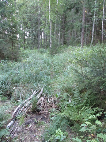 Vectrasta oikealle lähtevä polku. Johtaa mm. Virviksdalintielle ja n 500 m matka lampeen. Kuva DL Media.