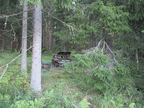 Pellon reunasta metsään päin kuvattuna. Poistuiko Riina pellolle? Kuva DL Media.