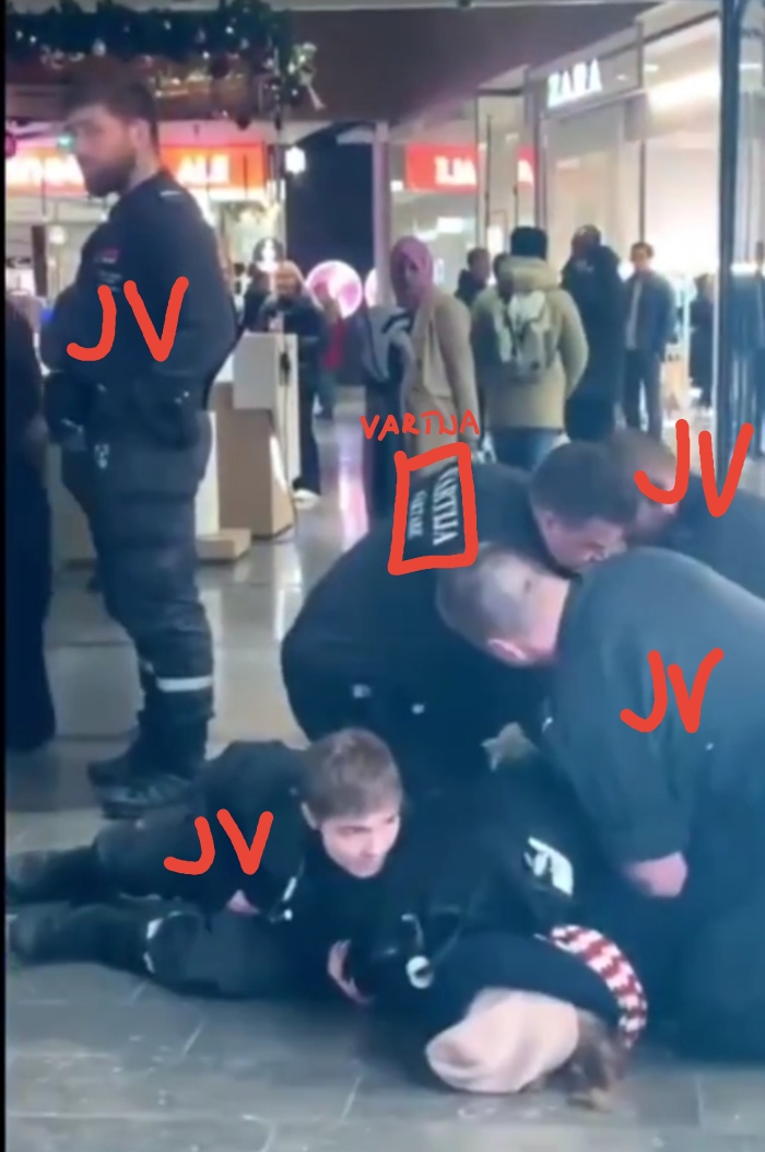 järjestyksenvalvojia ja vartija.jpg