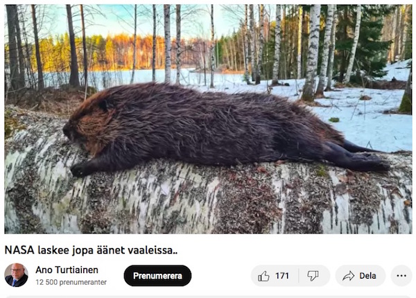 VKK_Ano_tapatutti_majavan.jpg
