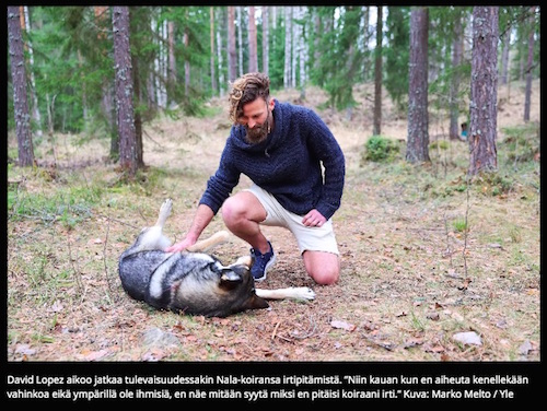 DL_susikoira_Kauppi.jpg