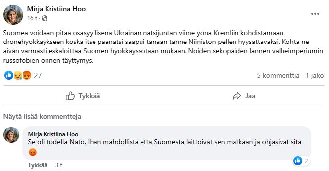 Mielisairasta soopaa.JPG