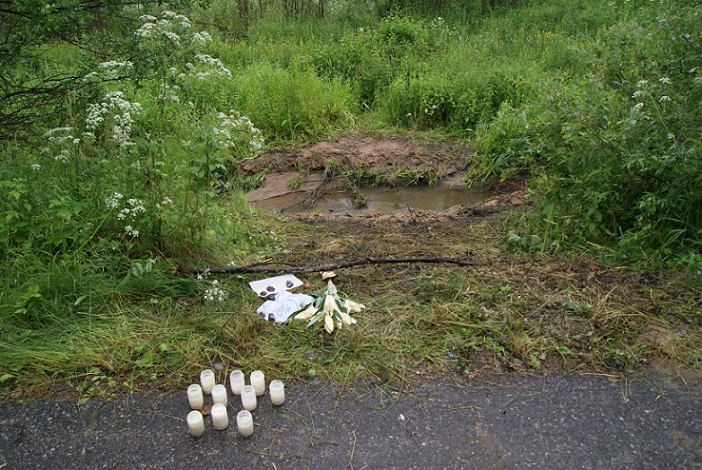 Petikko_2010_1.jpg