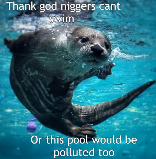 saukon reviiri.png