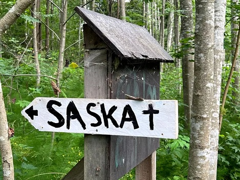 Saska.jpg