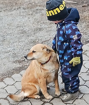 Kuva
