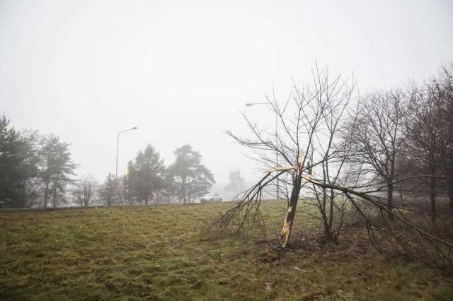 Puu, johon auto törmäsi, oli poikki lähes parin metrin korkeudesta, nopeudeksi arvioitu yli 100 kmh.jpg