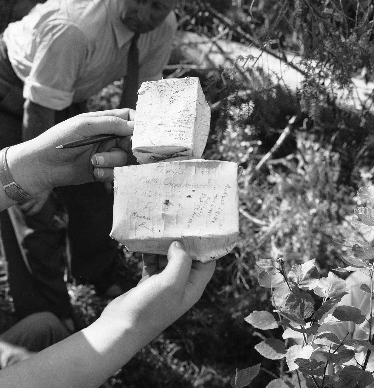 AABCxCQ.jpg