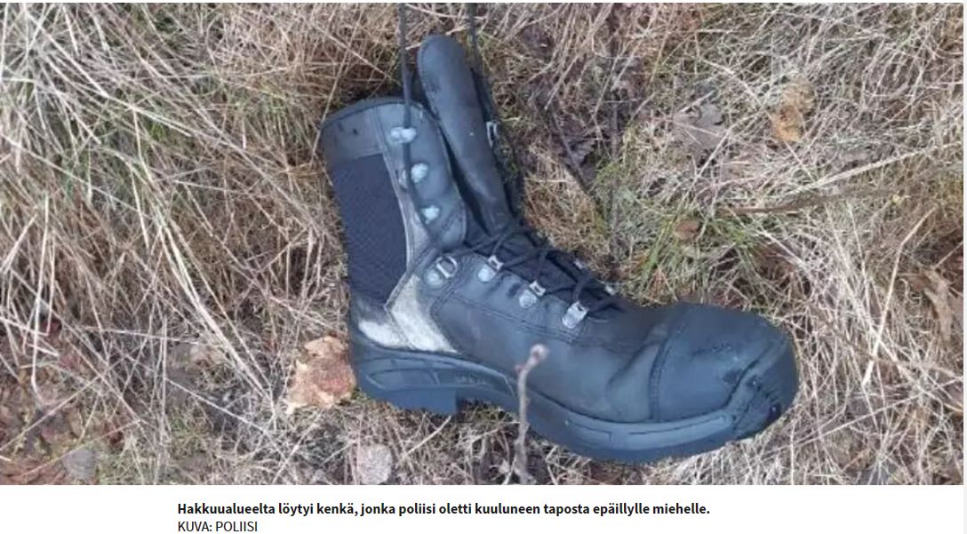 Eurajoki kenkä hakkuuaukealla.jpg