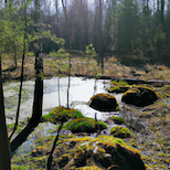 img-a76NKhvEWrZqTbf1Pb3PiQkA.png