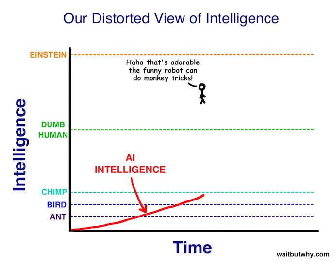 Intelligence.jpg