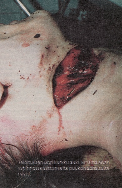 Vasikka-Tatu.jpg