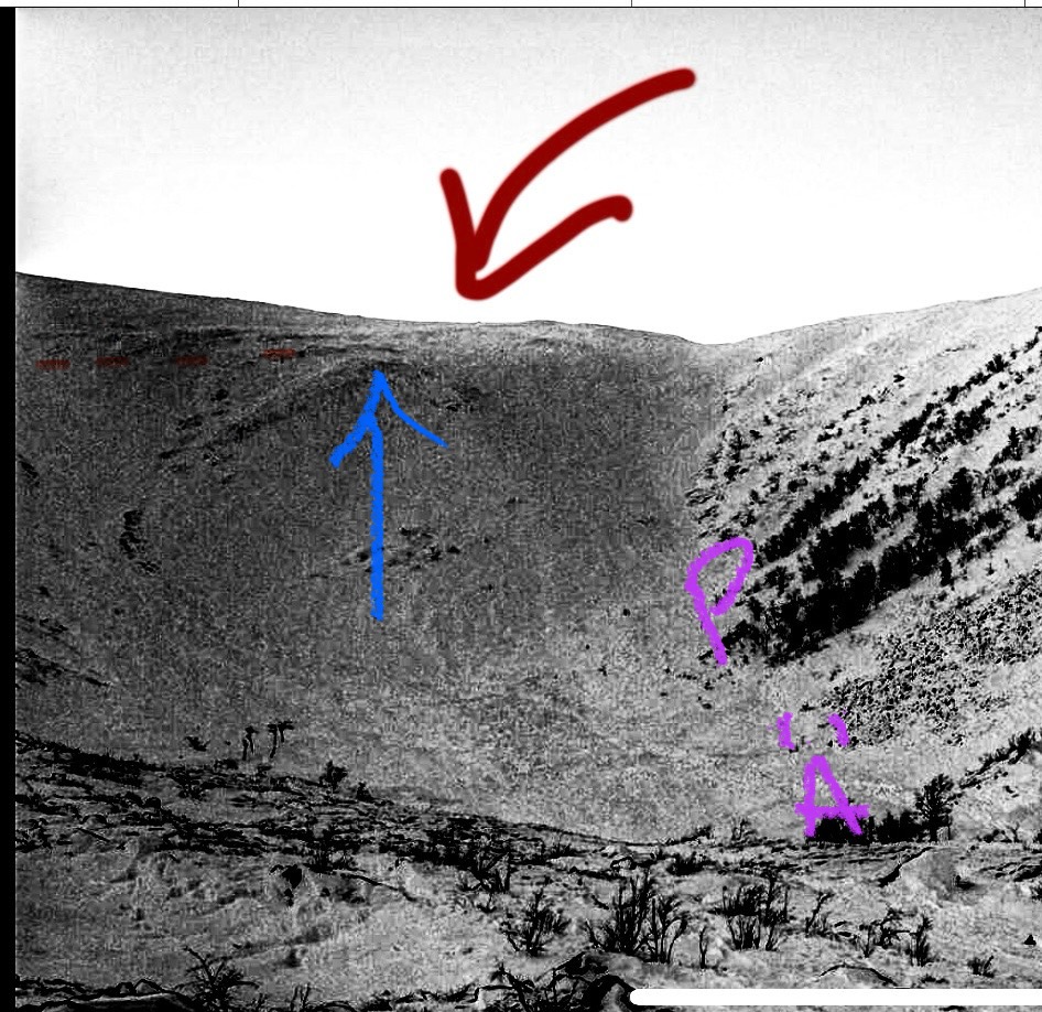 AD197BF1-81DC-46C8-8B6E-A4701FF4EC1A.jpeg