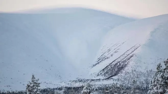 pyhakuru_2023_tammikuu.jpg