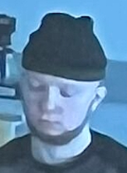 Isäpuolen malli.jpg