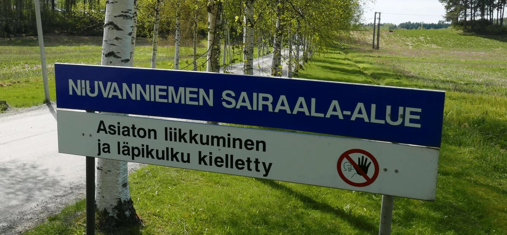 niuva.jpeg
