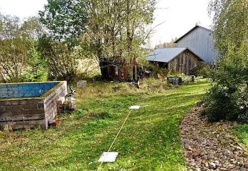 Polku saunamökille.jpg