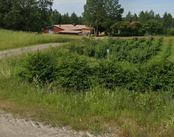 Hyypiäntie 647_.jpg