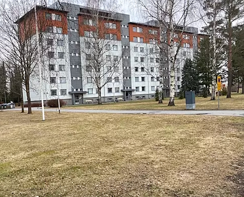 Koivistonpuistikkoa.jpg