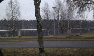 pielisjoki2.jpg