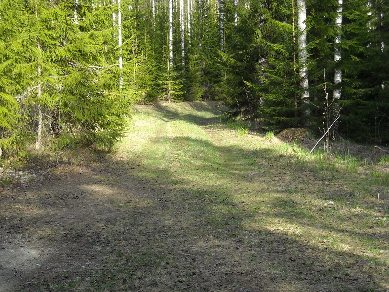 DSCN0500.jpg