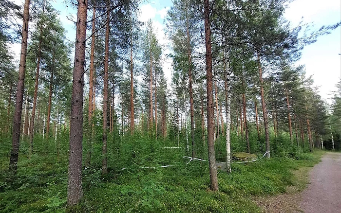 Halssilassa.jpg