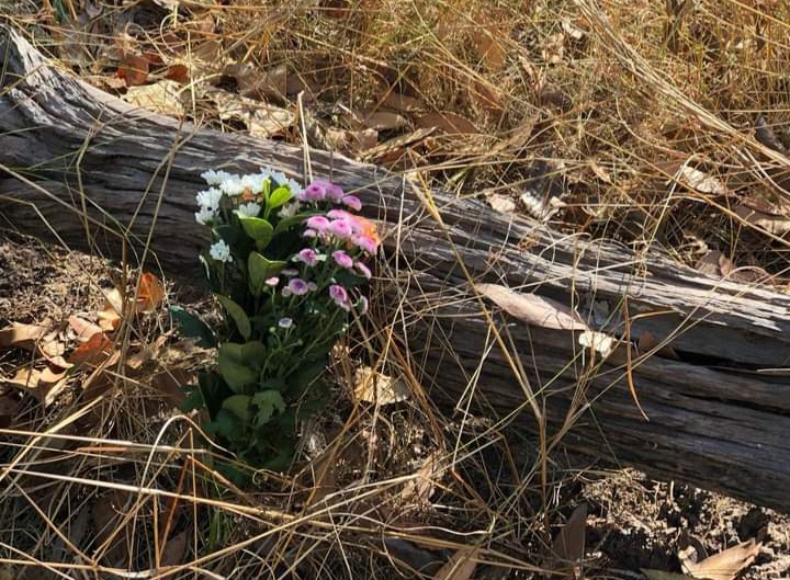 Ladyn ja 9 pennun kuolinpaikka