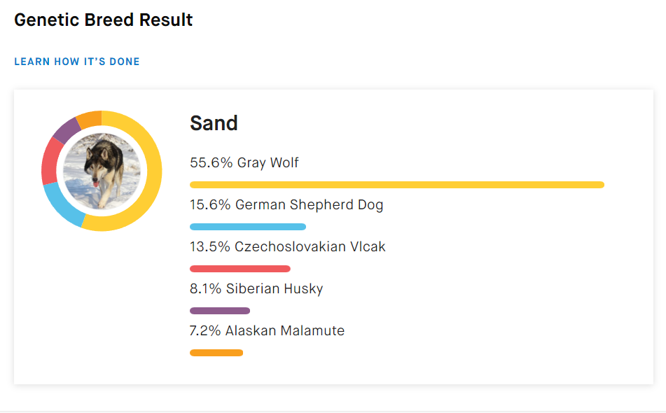 sand.png
