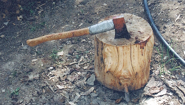 Pölkkyyn isketty kirves.jpg