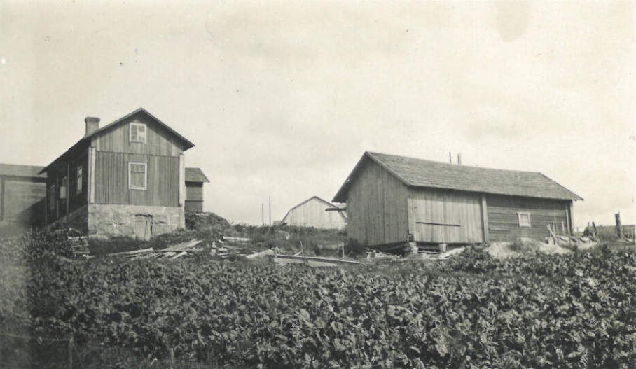 Pajapellon lohkotilan rakennukset noin 1920-luvulla. Rakennukset valmistuivat 1910-luvulla ja perhe muutti tilalle 1916. Päärakennuksen takana vasemmalla vilja-aitta, keskellä makasiini ja oikealla navetta- ja tallirakennus. Edessä rehujuurikaspelto.