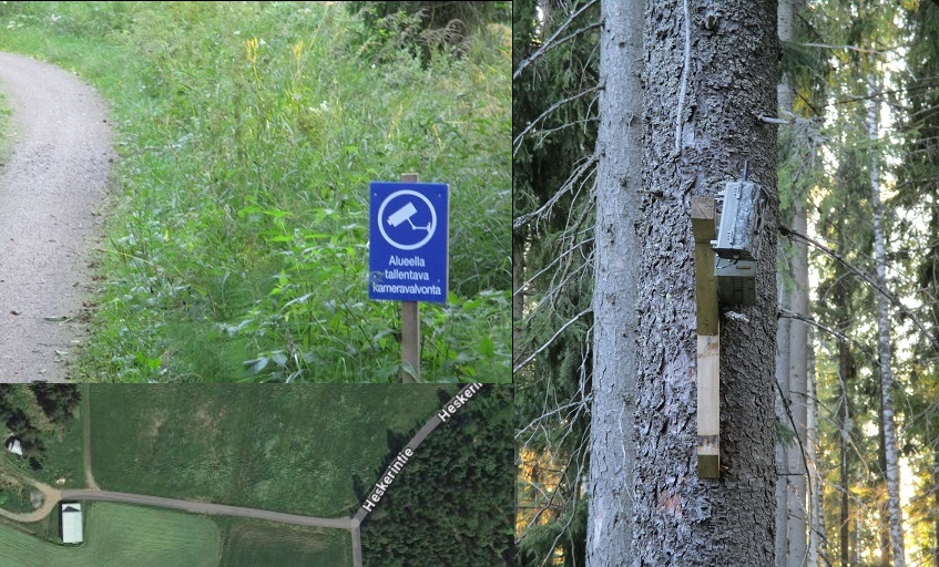 Kuvattu elokuussa 2017.