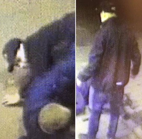 Kuva: Sisä-Suomen poliisi