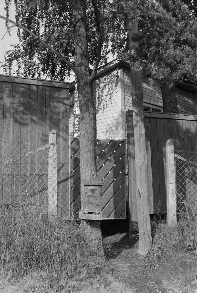 Gyllströmin talo 1969.jpg