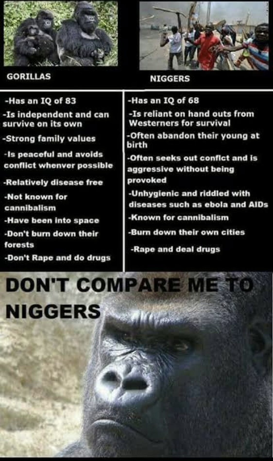 Gorilla on neekeriä välkympi
