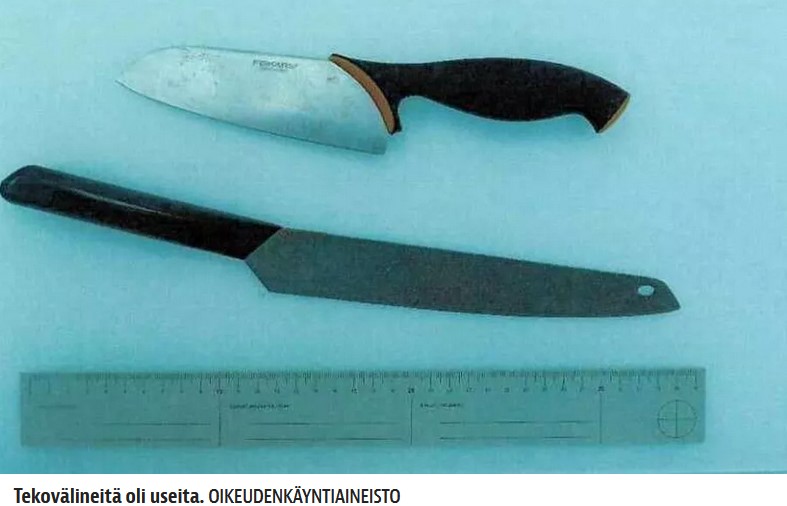 Jani Berglund - Nitta Skinnari  _.jpg