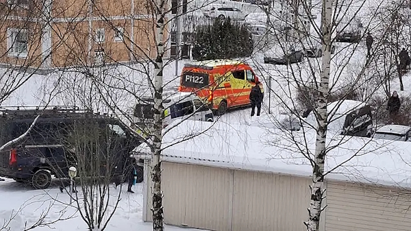 Linnainmaalla.jpg