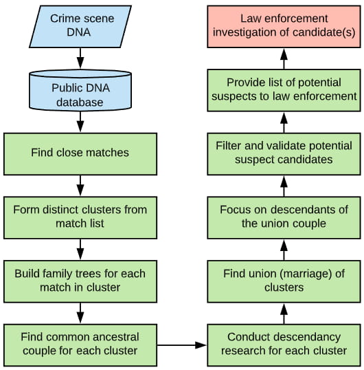 genetic-genealogy-process-crime-scene-dna.jpg