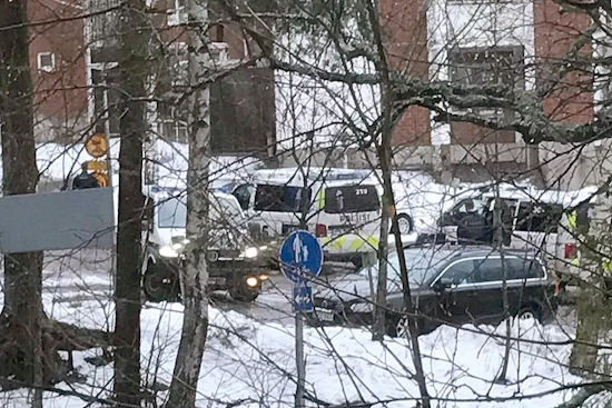 Niin on kuin Vilkkilässä kissoja...jpg